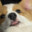 GabeTwT