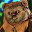 Evil Ewok