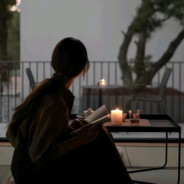 是小杨不是小羊