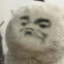 牛战士丶无所畏惧