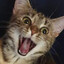 Tobie