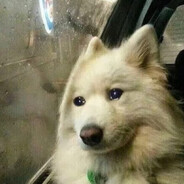 阴晴不定大姐姐