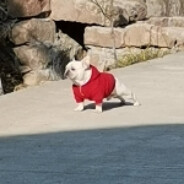 "♛AmAz3dME✞ -iwnl-"