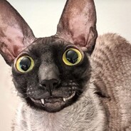 _artik_