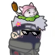 朝导管，夕死可矣