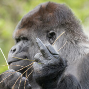 ГЕРОЧКА КИЛЛЕР228