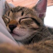 Are you nasty, baby? [aF]