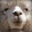 llamadrama