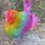GayChiken69