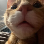 Jimothy The Terrible