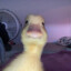 raztheduck123