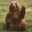 friendly bear