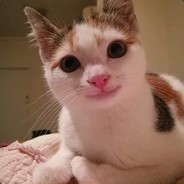 Makka