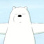 ICEBEAR