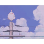 小羽今天没摆烂