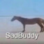 SadBuddy