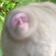 sp;ke