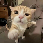 练习时长2年半开局就修坤