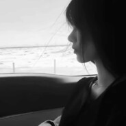 借的号 当狼只会插图腾