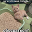 Шалава
