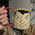 nedward nose Steam avatar