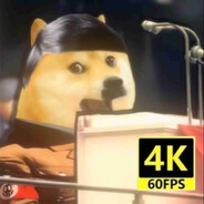 xedYs avatar