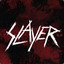 ＳＬＡＹＥＲ