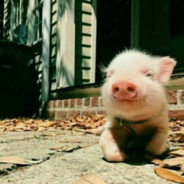 她说团建她是奖品