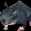 The Humble Rat