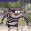 rigby