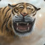 HARIMAU