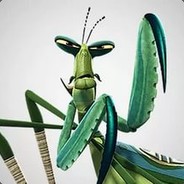 🎴КУНГ-ФУ_БОГОМОЛ - steam id 76561198249919292