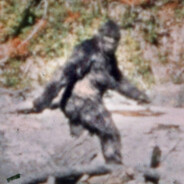 bigfoot_is_real