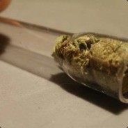 Wsadzam I Spierdalam