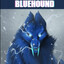 BluehoundTV