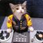 DJ cat !@@#$#@$$@@