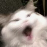 别生气 喝点丝瓜汤吧