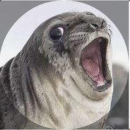 秒选孙悟空的智障丶