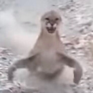 MeeM's avatar