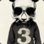 PANDAPOWER
