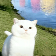 由吾芳媚