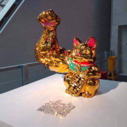 活了19年的孤兒