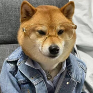 十一