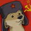 Russia Dog