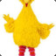 Bigbird