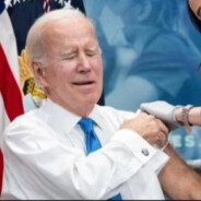 脚后跟死皮京野家煲饭