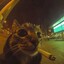 питарас бульба