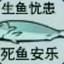 紫益XQ