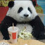 Pog_Panda