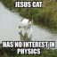 Lolcat